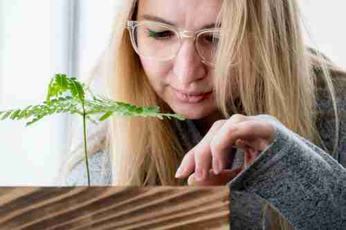 Sarah looks at a tiny plant and a big plant in a wooden planter