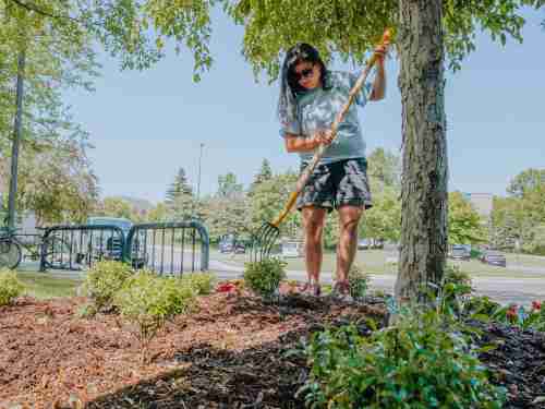 A woman uses a pitch fork to spread mulch
