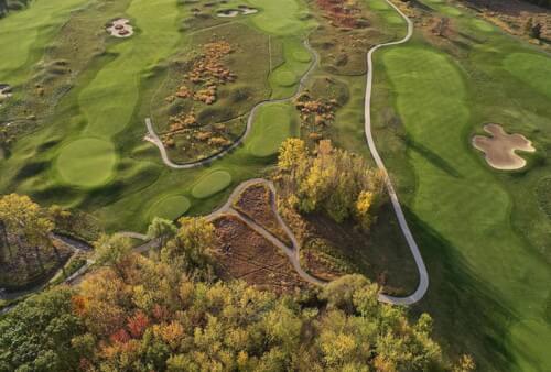 Read article The Meadows by the numbers