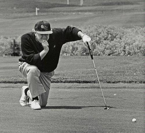 Read article The Meadows by the numbers