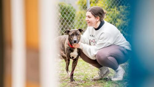 Read article Alternative Breaks