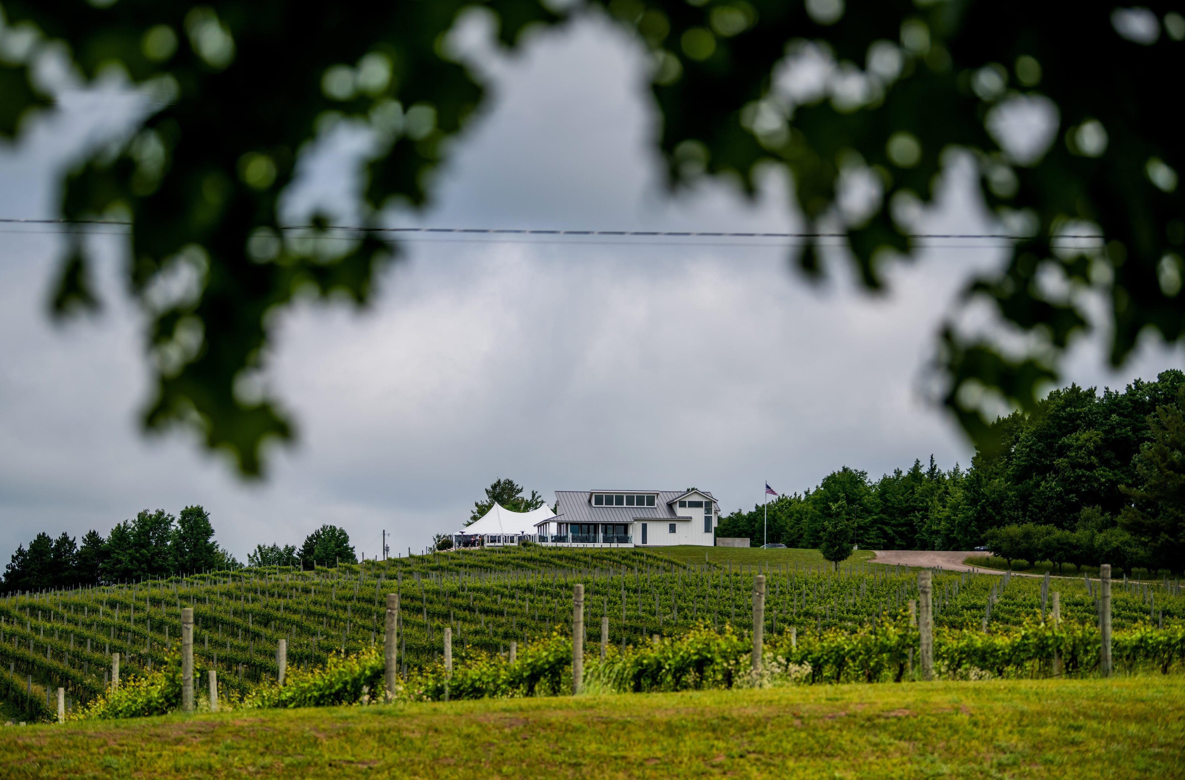 A picturesque photo of a vineyard with a white building in the background
