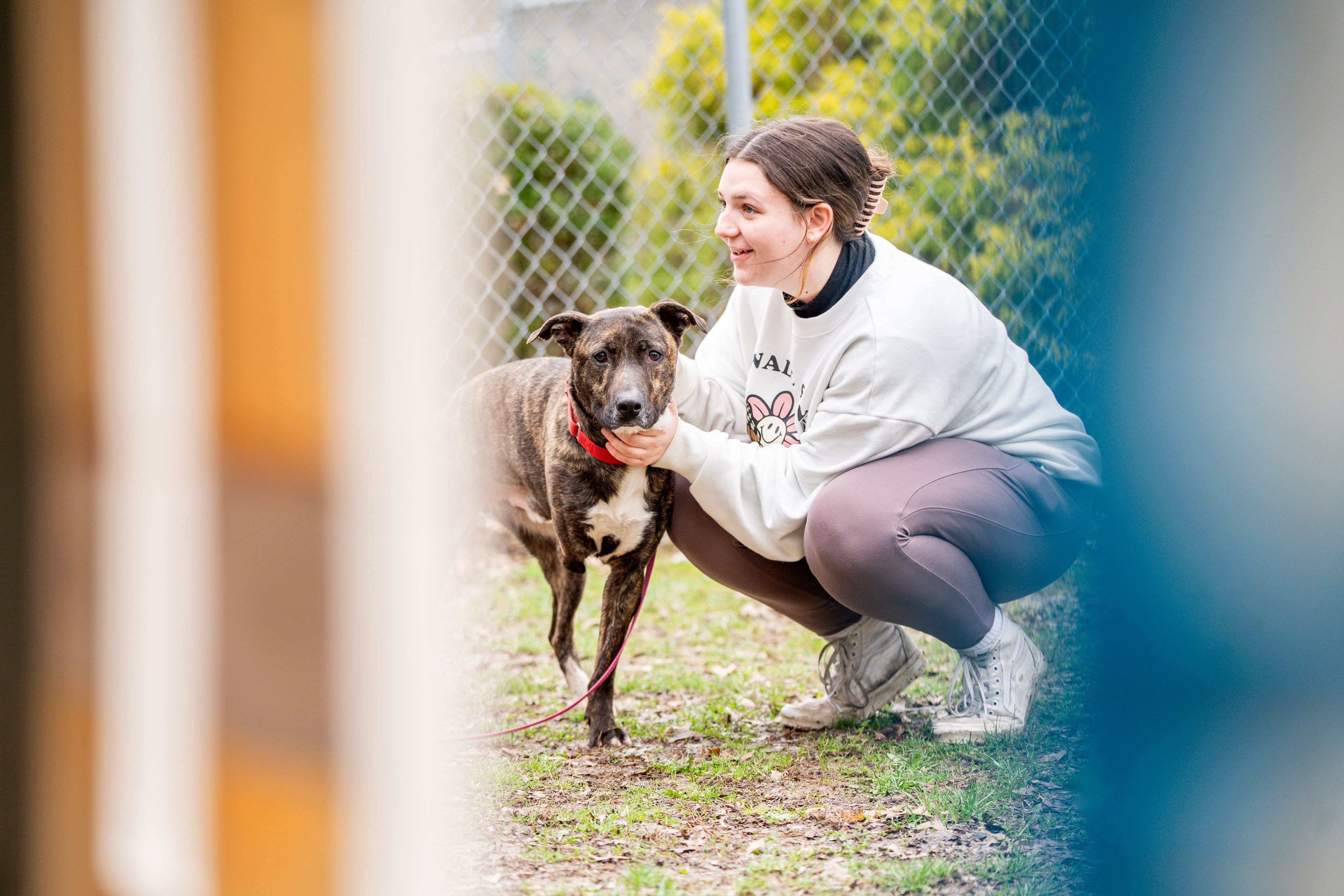 A student kneels down outside, petting a dog around the neck