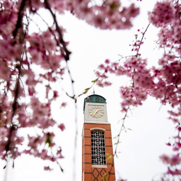 The carillon on the Allendale Campus is shown, with the branches of a blossoming tree in the foreground. The flowers are pink.