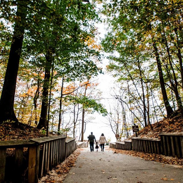Family walking through park