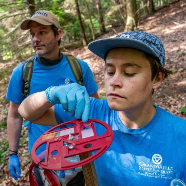 Student researchers check a trap for evidence of an invasive species infecting eastern hemlock trees