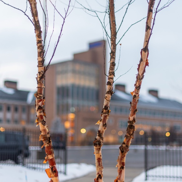 A winter scene outside the Seidman College of Business building