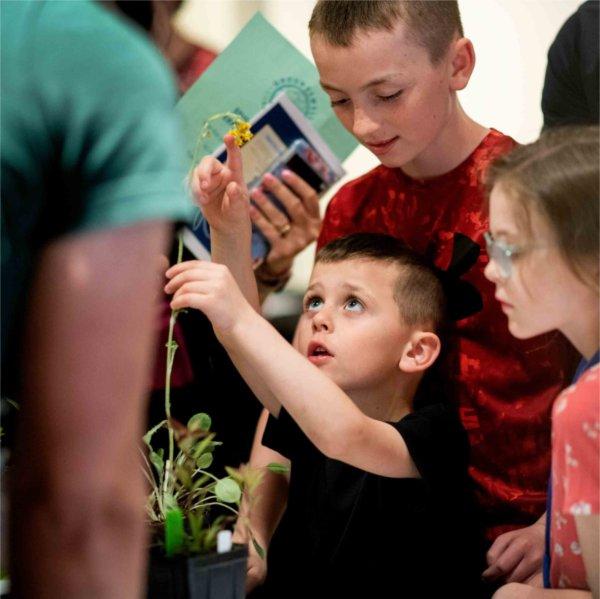 Kellen Mourer, 4, inspects a plant while exploring student projects with his family during the Groundswell Stewardship Initiative student project showcase on the Pew Grand Rapids Campus May 15.