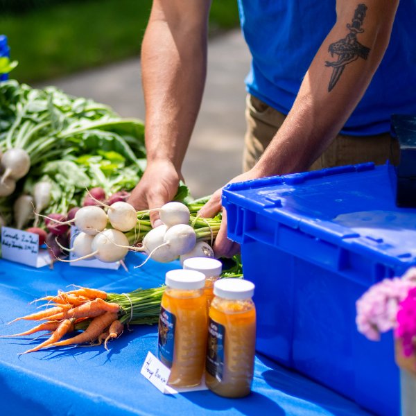 Vegetables laid out on a table
