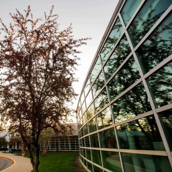 The outside of Calder Art Center, including glass-paneled walls and a tree.