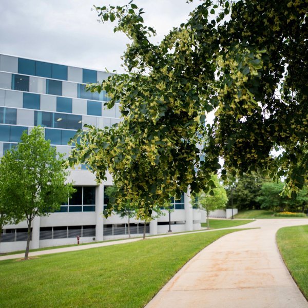 sidewalk pictured with Zumberge Hall in the background