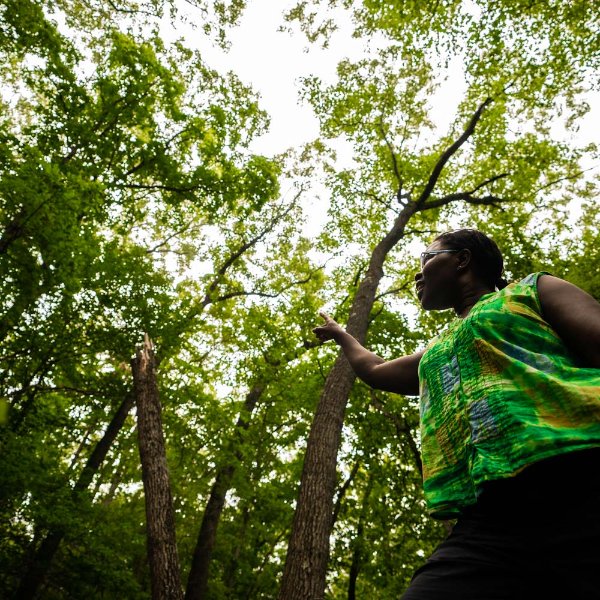 A faculty member points up toward a tree canopy.