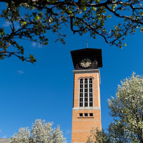 Beckering Family Carillon Tower framed by blossoming trees