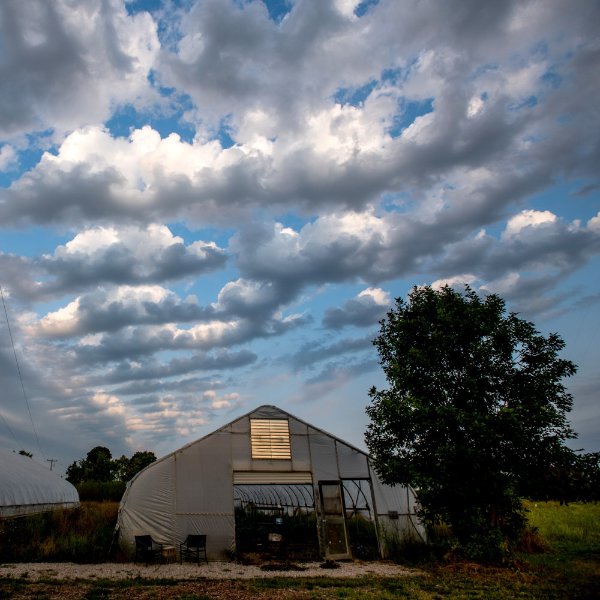 The Sustainable Agriculture Project greenhouse on a sunny day