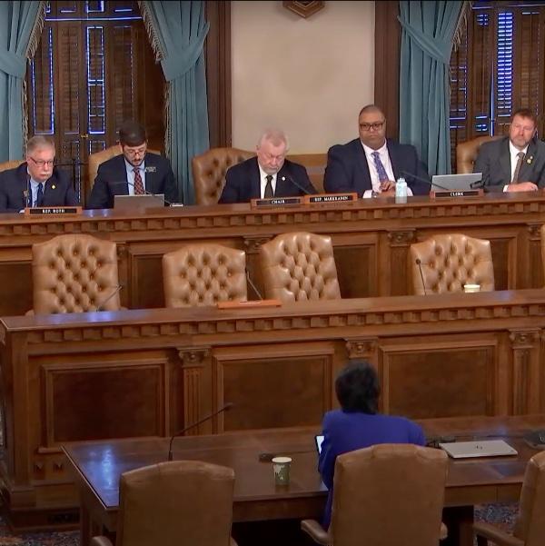 Screen capture of President Mantella testifying in Lansing.