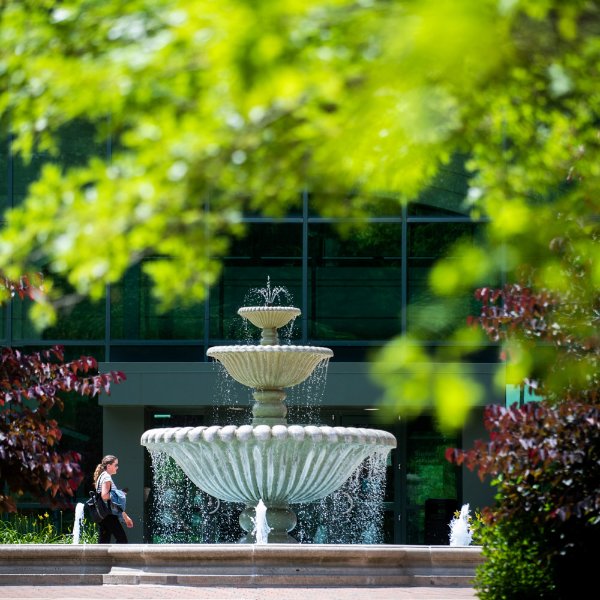 Fountain on the Allendale Campus.
