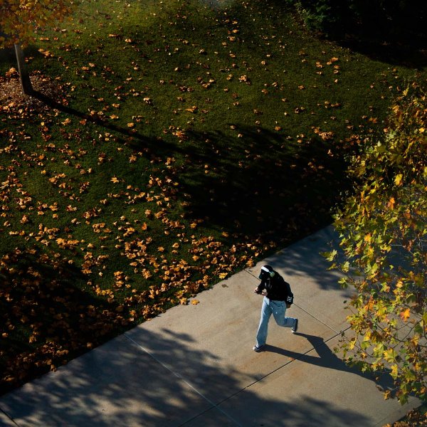 A person walks along a sidewalk with yellow leaves on the ground around them.