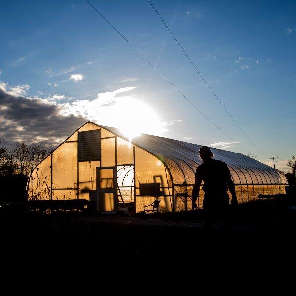 The sun sets behind a hoop house on the SAP farm.