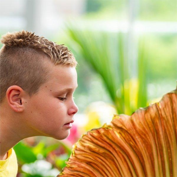 A person leans into to sniff a red-colored flower.