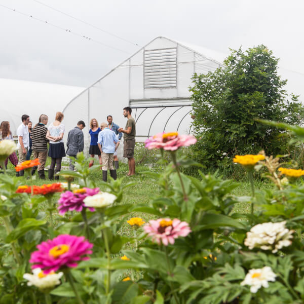 A photo of students learning at the Sustainable Agriculture Project.