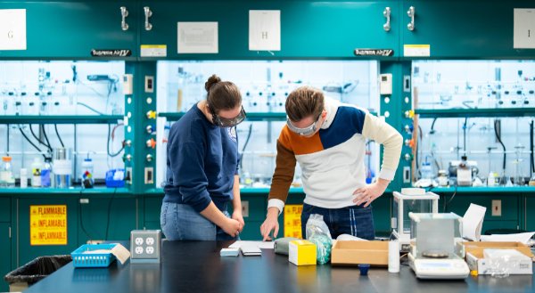  Two college students work side-by-side in a lab. 