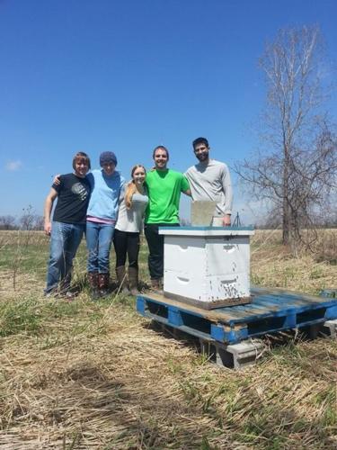 Students install the apiary at the Sustainable Agriculture Project. 