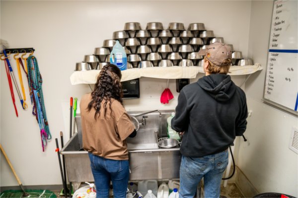 two students stand with backs to camera in front of sink washing pet dishes