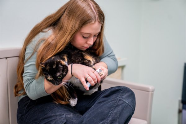 Lily Clark, president of Alternative Breaks, trims the nails on a cat. Clark was a student site leader for the trip to the animal shelter.