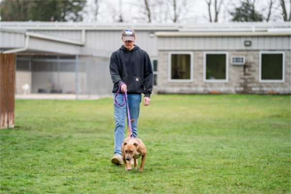 Ethan Doyle walks one of the shelter dogs at The League for Animal Welfare.