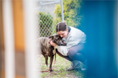student hugs a dog outside in a pen at an animal shelter