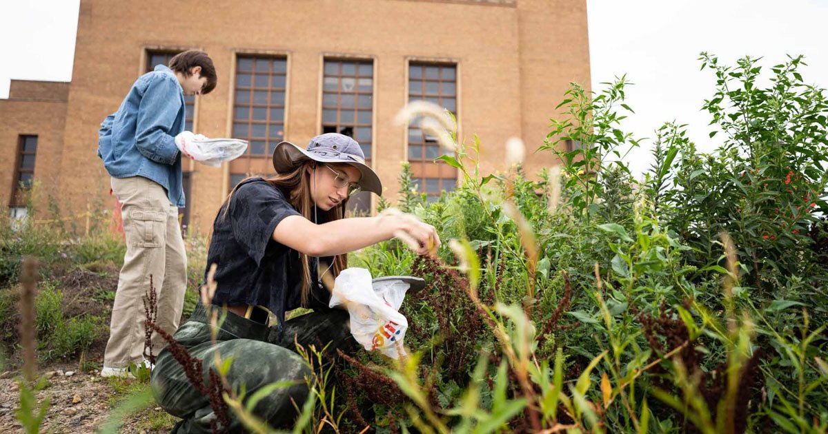 GVSU visual studies project helps explore key Holland location as ...