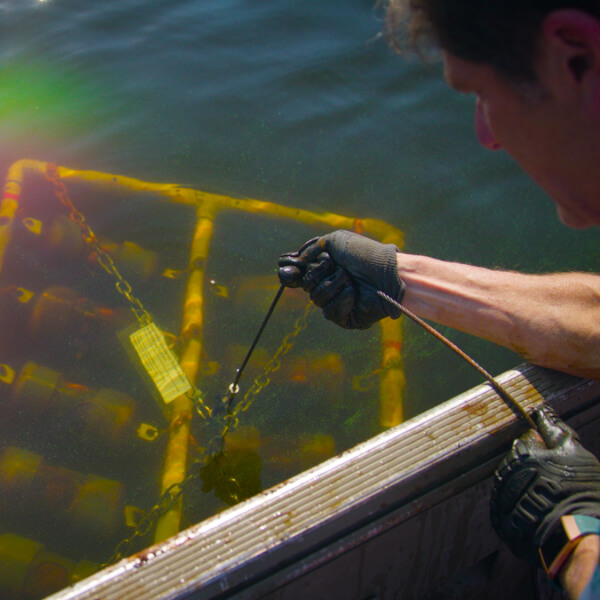 Alan Steinman retrieves a large PVC pipe sample tray from the waters of Muskegon Lake.