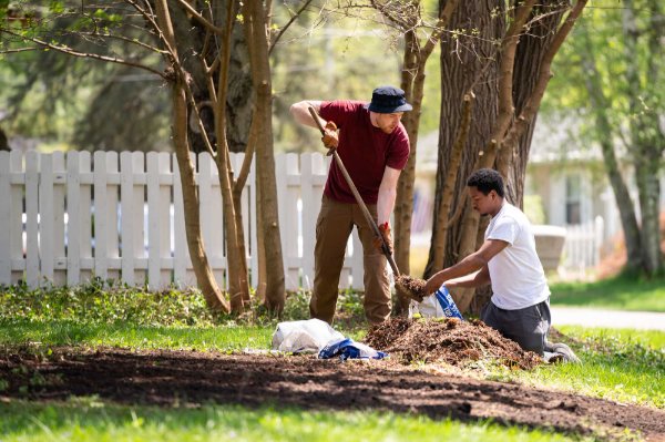 Two people work on moving mulch in a yard. One holds a gardening utensil, raking mulch, while the other holds a bag.