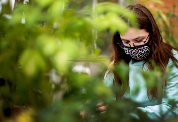 A person wearing an animal print mask works among plants.