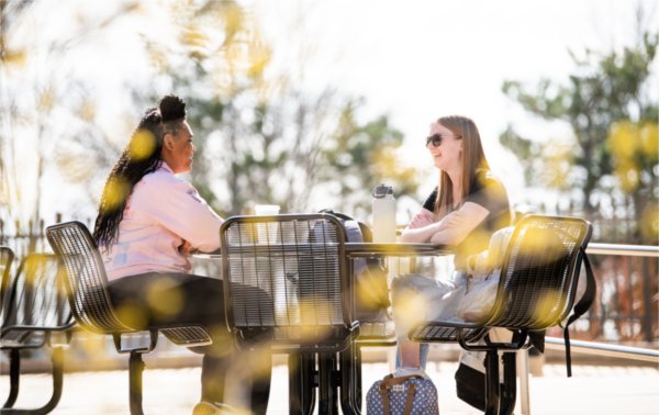 Two friends sit among yellow blossoms at an outdoor table on a college campus.  