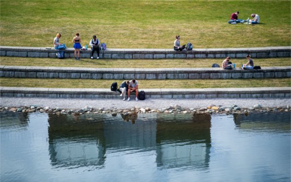 Students study and relax along a pond on a college campus. 