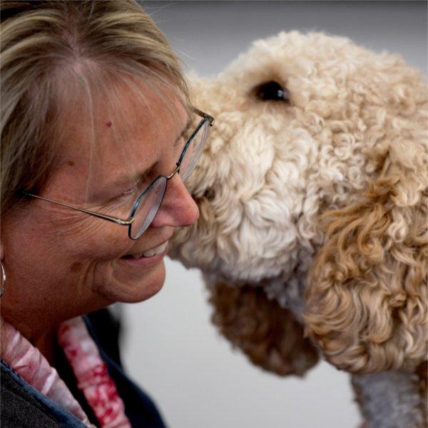 Jasper, a goldendoodle therapy dog, cuddles with host and 7th grade teacher, Carrie Pifer.