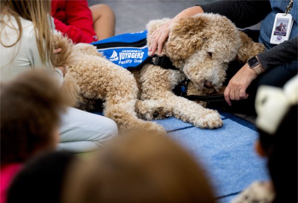 Jasper, a goldendoodle therapy dog, cuddles with host and 7th grade teacher, Carrie Pifer, at Vanderbilt Charter Academy.