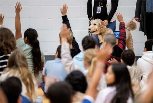 Jasper, a goldendoodle therapy dog, is officially introduced to the school during an assembly as their Vanderbilt Charter Academy dog.