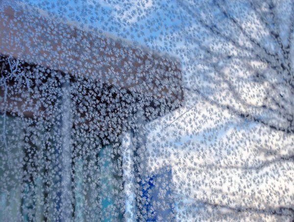 A university campus building is seen through frosty glass.