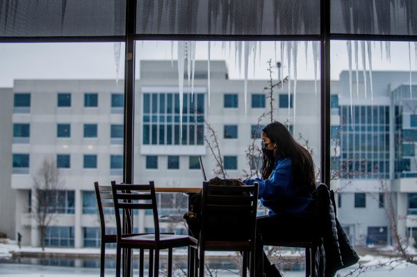  A student works on her laptop near an icicle-draped window. 