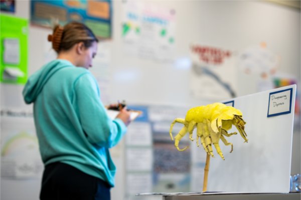 A giant yellow creature that looks like a bug is in the foreground, while there is a student holding a clipboard looking at posters in the background. 