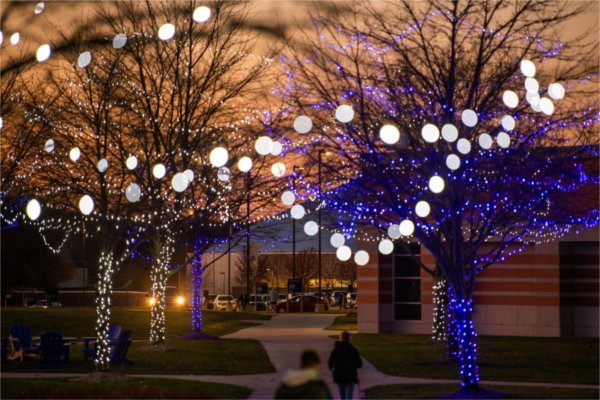 Holiday lights hanging from tree branches glow on campus in front of an orange dusk sky.