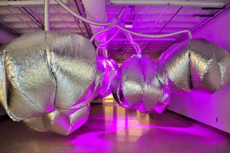 "The Breadth of a Walnut" by Jacklyn Brickman