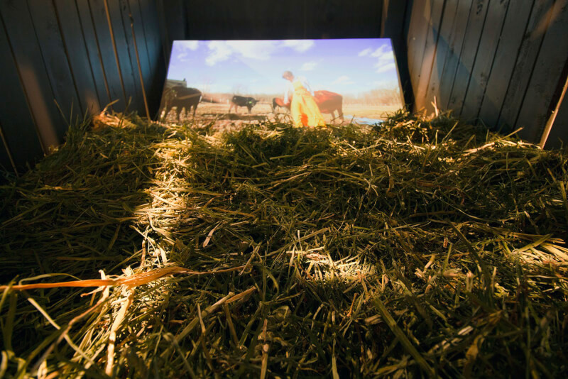 "Forever Heifer" by Ruth Burke