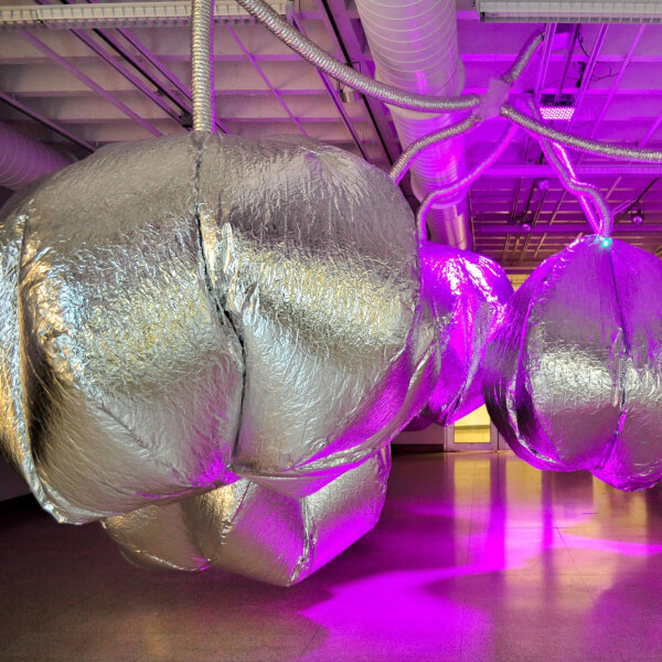 "The Breadth of a Walnut" by Jacklyn Brickman