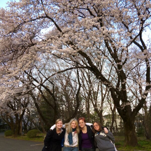 Owen and friends stand on a path under cherry blossom trees in Japan.