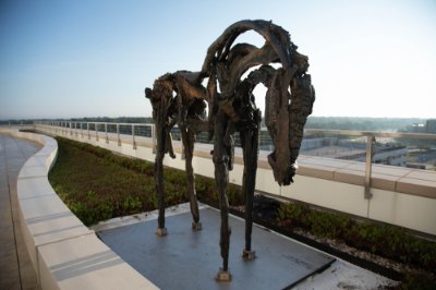 1,200-pound sculpture, a life-sized horse that is cast bronze on rooftop terrace
