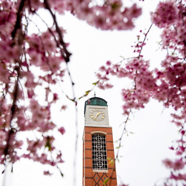 The carillon is in the background. Pink flowers are in the foreground.