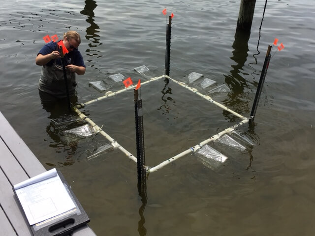 AWRI researchers have set up the experiment station near a dock in Spring Lake.